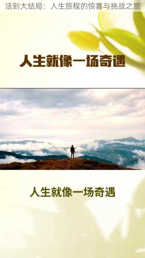 活到大结局：人生旅程的惊喜与挑战之旅