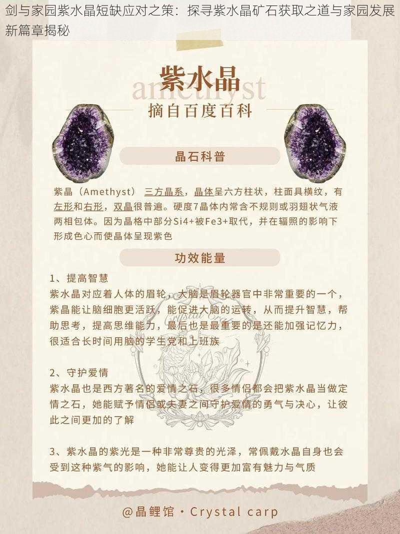 剑与家园紫水晶短缺应对之策：探寻紫水晶矿石获取之道与家园发展新篇章揭秘