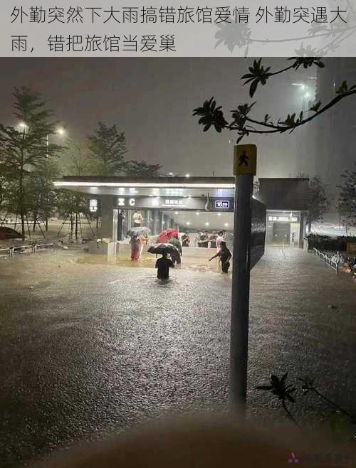 外勤突然下大雨搞错旅馆爱情 外勤突遇大雨，错把旅馆当爱巢