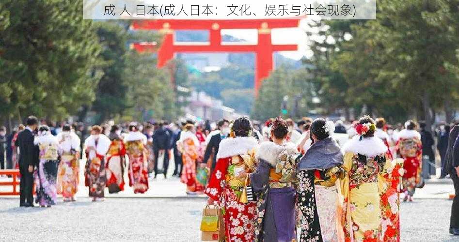 成 人 日本(成人日本：文化、娱乐与社会现象)