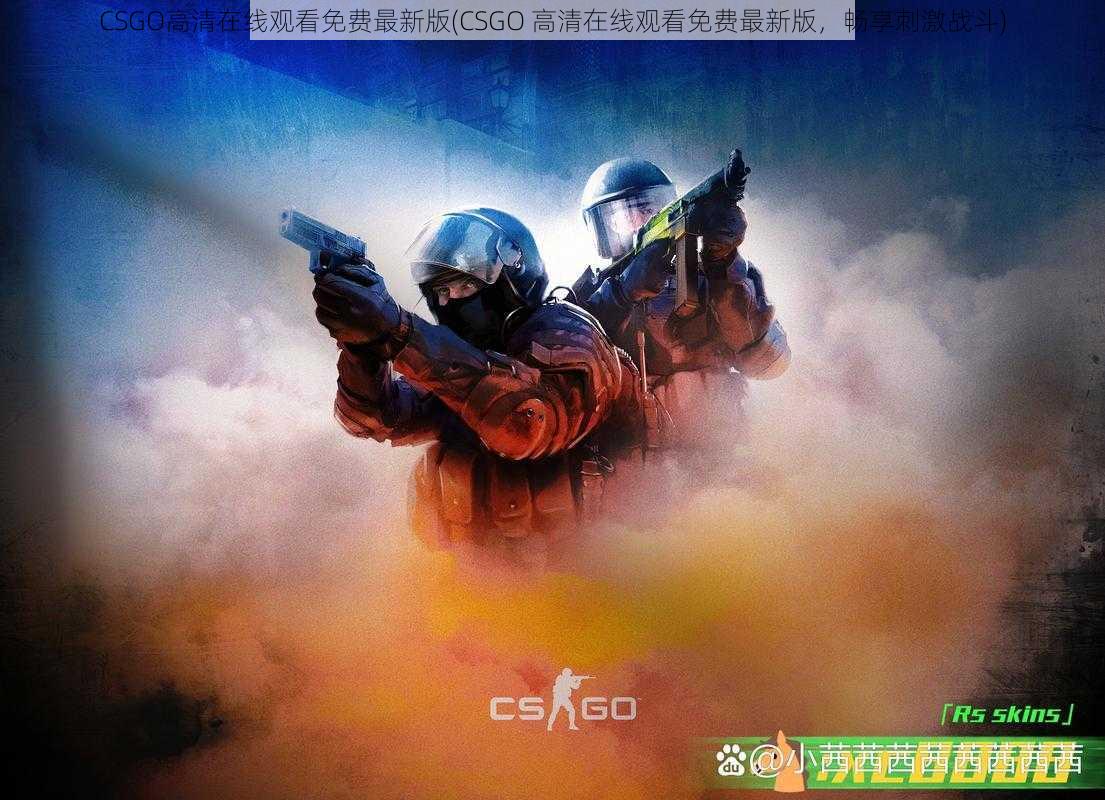 CSGO高清在线观看免费最新版(CSGO 高清在线观看免费最新版，畅享刺激战斗)