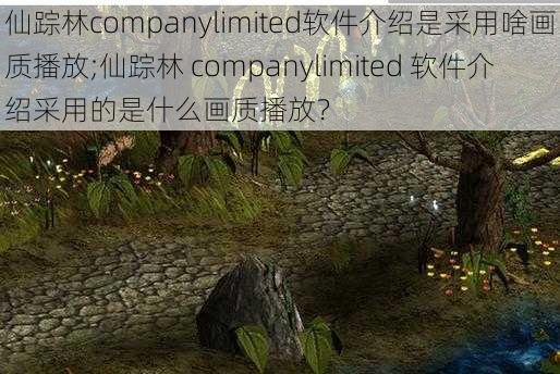 仙踪林companylimited软件介绍是采用啥画质播放;仙踪林 companylimited 软件介绍采用的是什么画质播放？