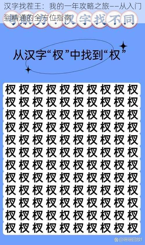 汉字找茬王：我的一年攻略之旅——从入门到精通的全方位指南