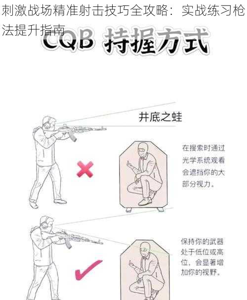 刺激战场精准射击技巧全攻略：实战练习枪法提升指南