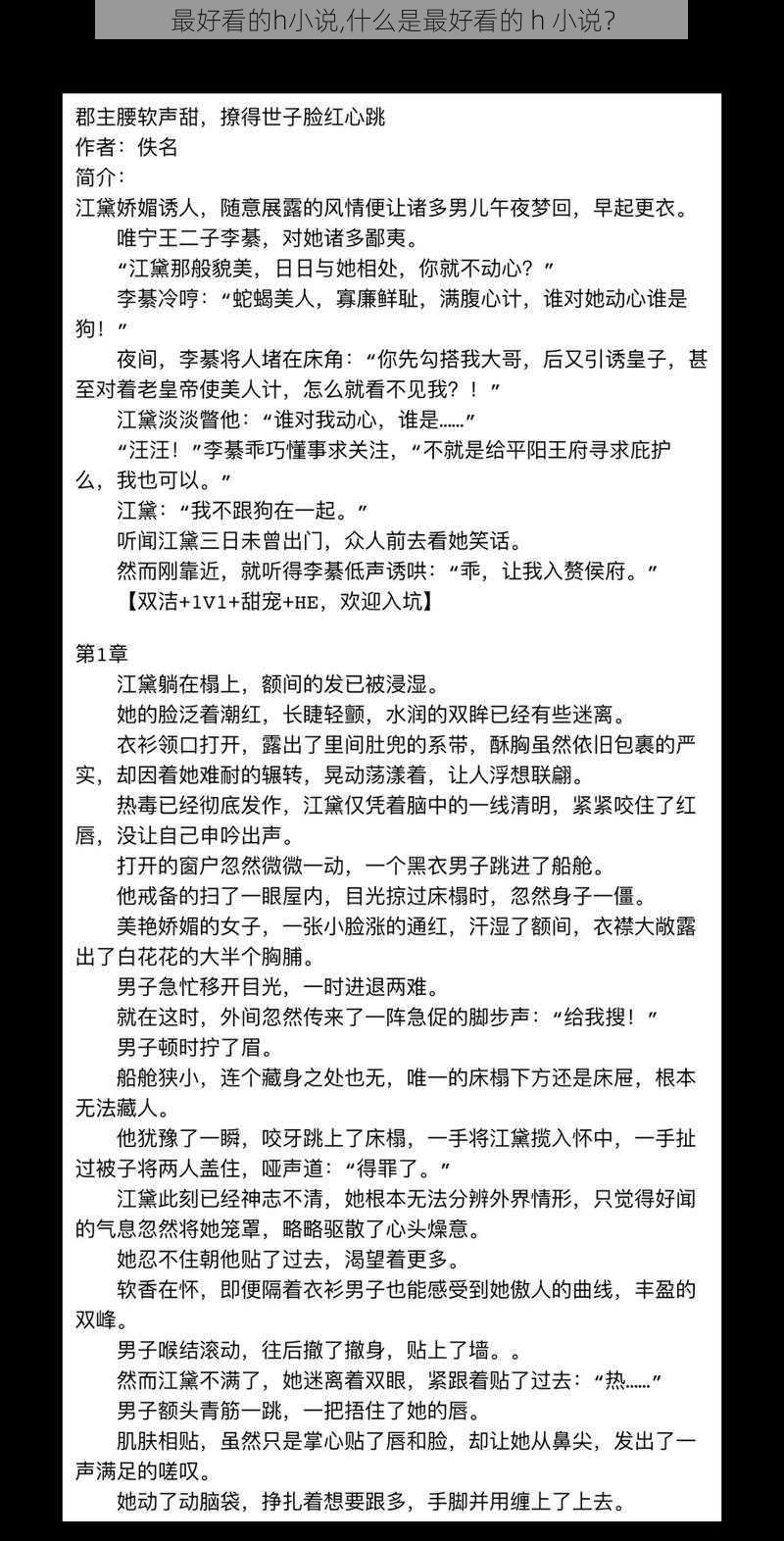 最好看的h小说,什么是最好看的 h 小说？