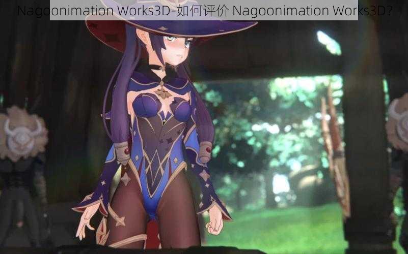 Nagoonimation Works3D-如何评价 Nagoonimation Works3D？