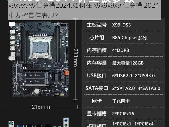 x9x9x9x9任意槽2024,如何在 x9x9x9x9 任意槽 2024 中发挥最佳表现？