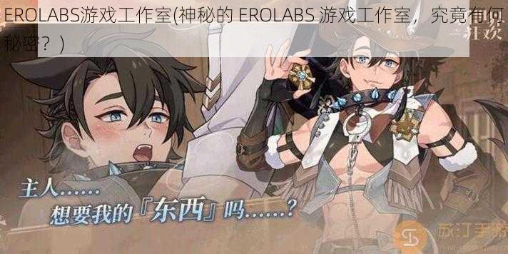 EROLABS游戏工作室(神秘的 EROLABS 游戏工作室，究竟有何秘密？)