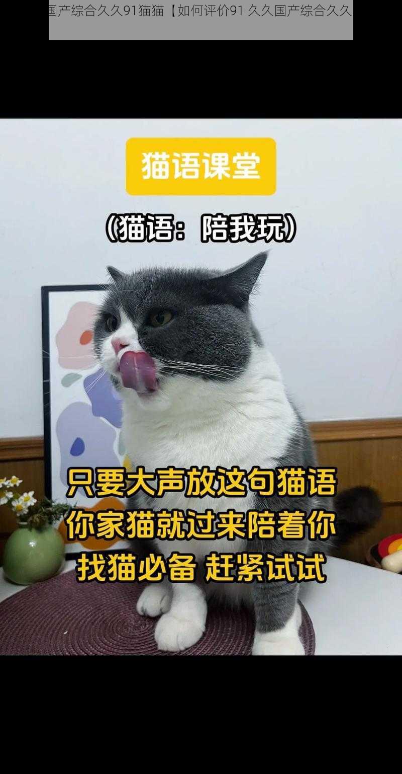 91久久国产综合久久91猫猫【如何评价91 久久国产综合久久 91 猫猫？】