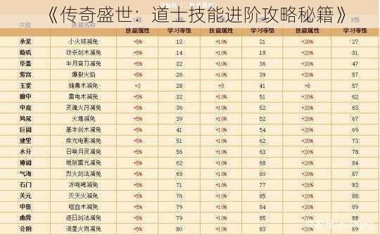 《传奇盛世：道士技能进阶攻略秘籍》