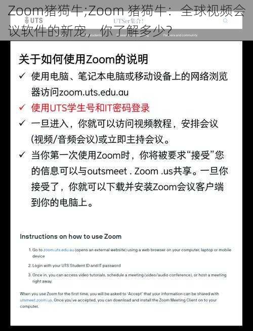 Zoom猪㺃牛;Zoom 猪㺃牛：全球视频会议软件的新宠，你了解多少？