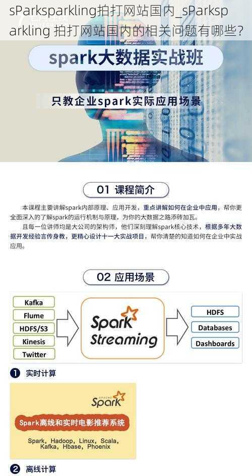 sParksparkling拍打网站国内_sParksparkling 拍打网站国内的相关问题有哪些？