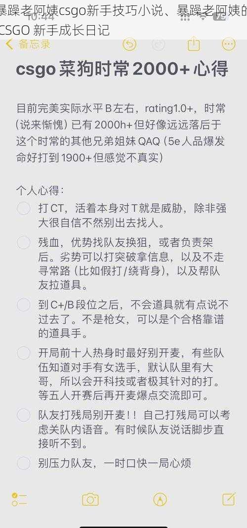 暴躁老阿姨csgo新手技巧小说、暴躁老阿姨的 CSGO 新手成长日记