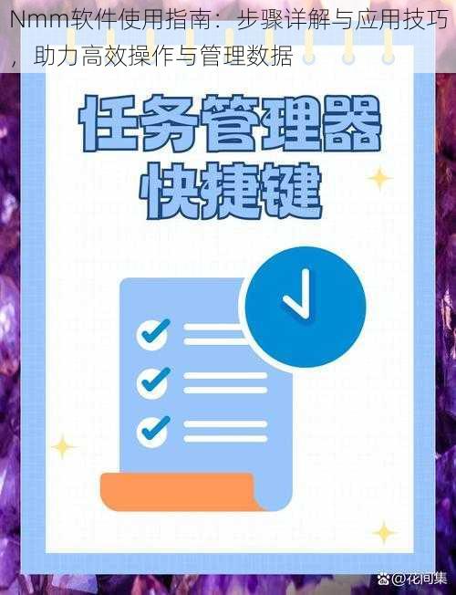 Nmm软件使用指南：步骤详解与应用技巧，助力高效操作与管理数据