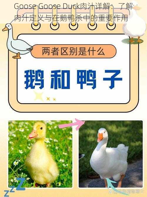 Goose Goose Duck肉汁详解：了解肉汁定义与在鹅鸭杀中的重要作用