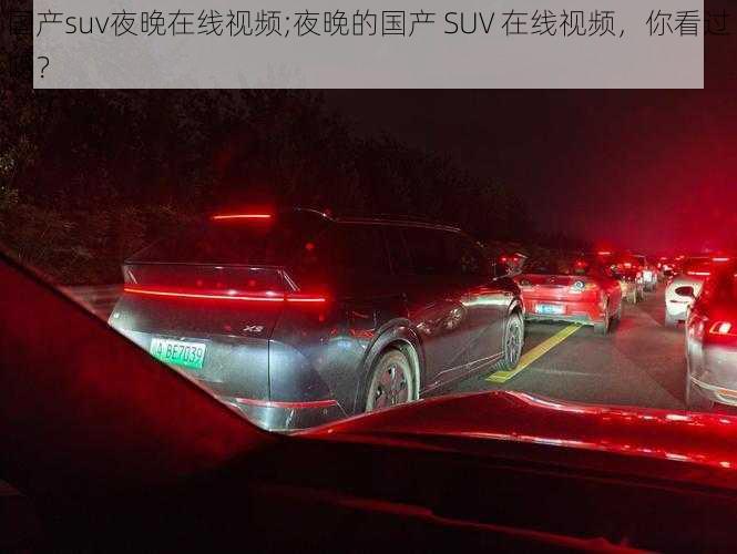 国产suv夜晚在线视频;夜晚的国产 SUV 在线视频，你看过吗？