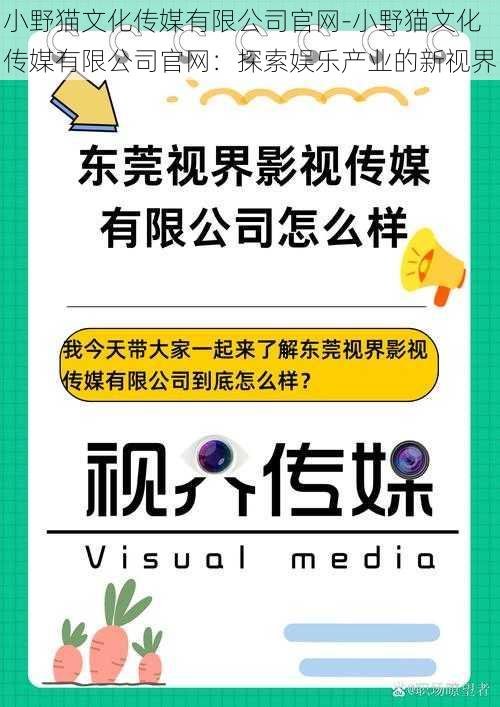 小野猫文化传媒有限公司官网-小野猫文化传媒有限公司官网：探索娱乐产业的新视界