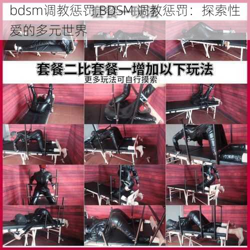 bdsm调教惩罚,BDSM 调教惩罚：探索性爱的多元世界