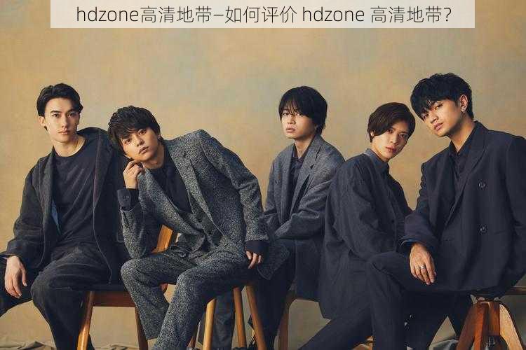 hdzone高清地带—如何评价 hdzone 高清地带？