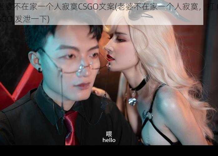 老婆不在家一个人寂寞CSGO文案(老婆不在家一个人寂寞，打 CSGO 发泄一下)