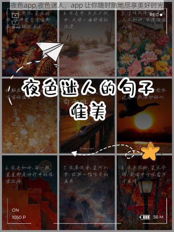 夜色app,夜色迷人，app 让你随时随地尽享美好时光