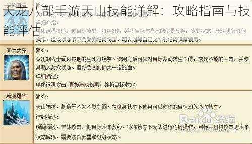 天龙八部手游天山技能详解：攻略指南与技能评估