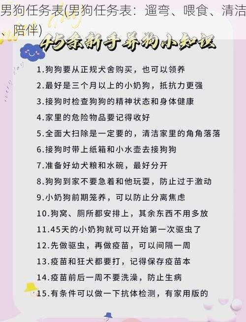 男狗任务表(男狗任务表：遛弯、喂食、清洁、陪伴)