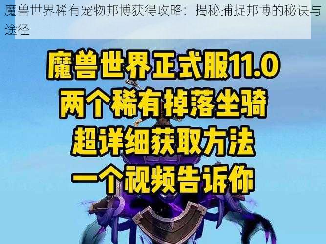 魔兽世界稀有宠物邦博获得攻略：揭秘捕捉邦博的秘诀与途径