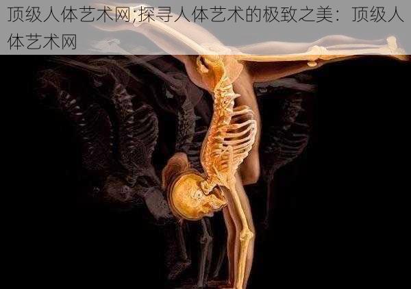 顶级人体艺术网;探寻人体艺术的极致之美：顶级人体艺术网