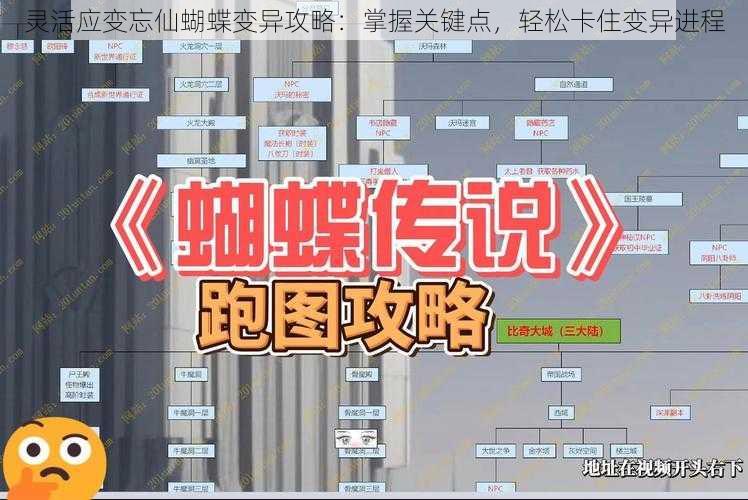 灵活应变忘仙蝴蝶变异攻略：掌握关键点，轻松卡住变异进程