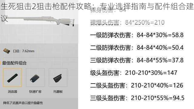 生死狙击2狙击枪配件攻略：专业选择指南与配件组合建议