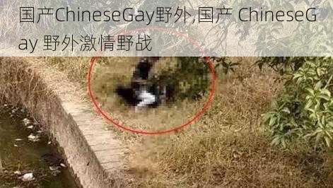 国产ChineseGay野外,国产 ChineseGay 野外激情野战