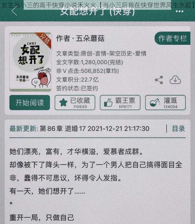 女主当小三的高干快穿小说禾火火【当小三后我在快穿世界风生水起】