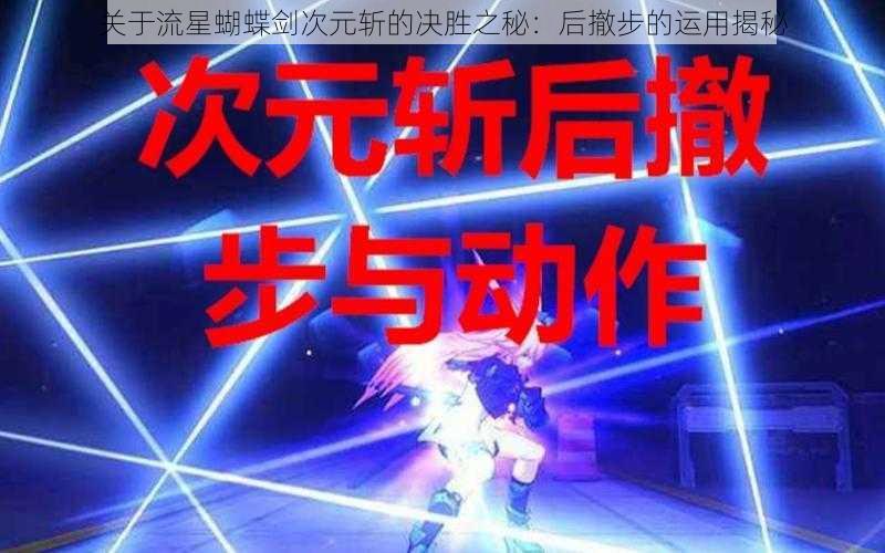 关于流星蝴蝶剑次元斩的决胜之秘：后撤步的运用揭秘