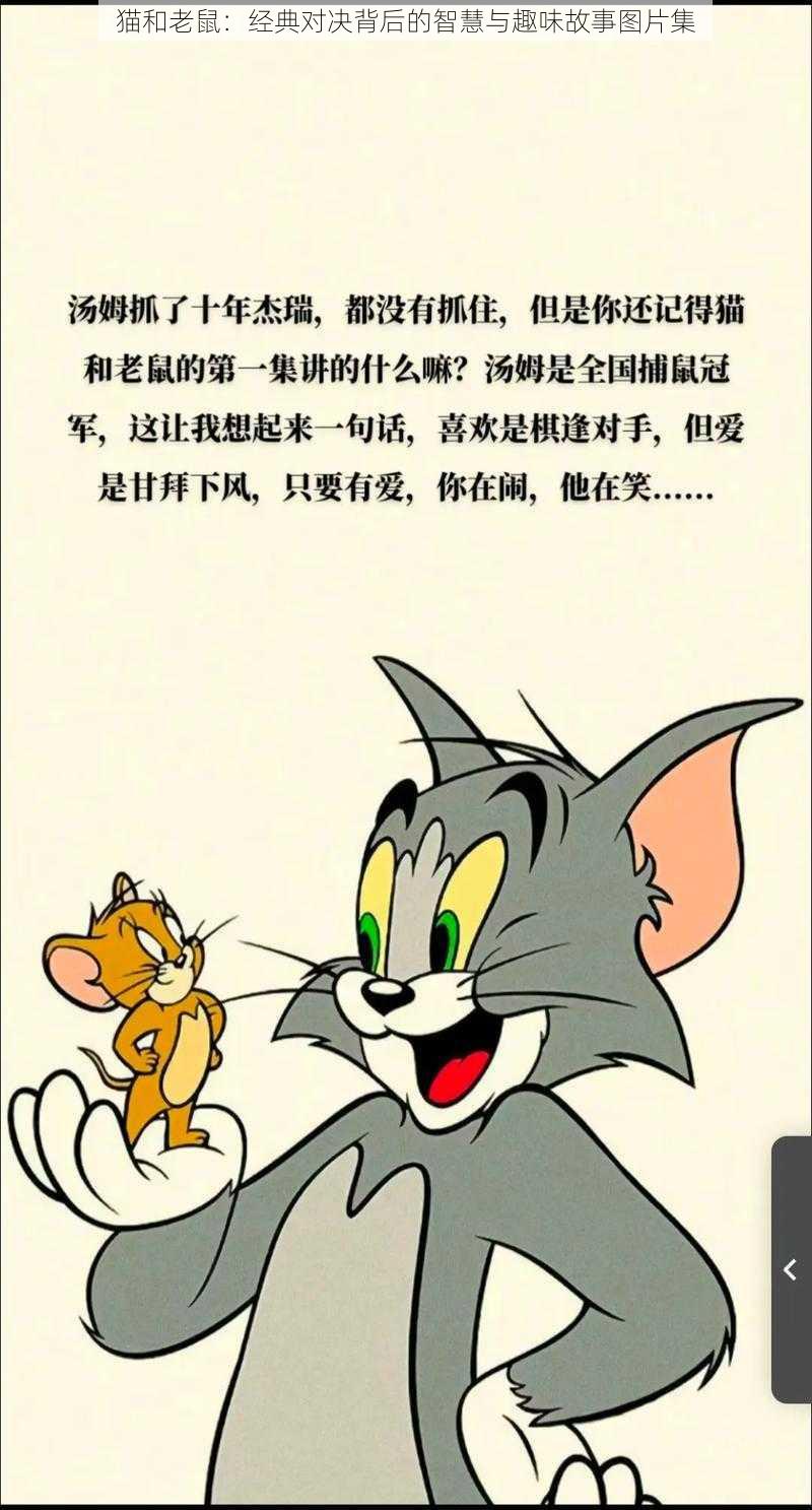 猫和老鼠：经典对决背后的智慧与趣味故事图片集