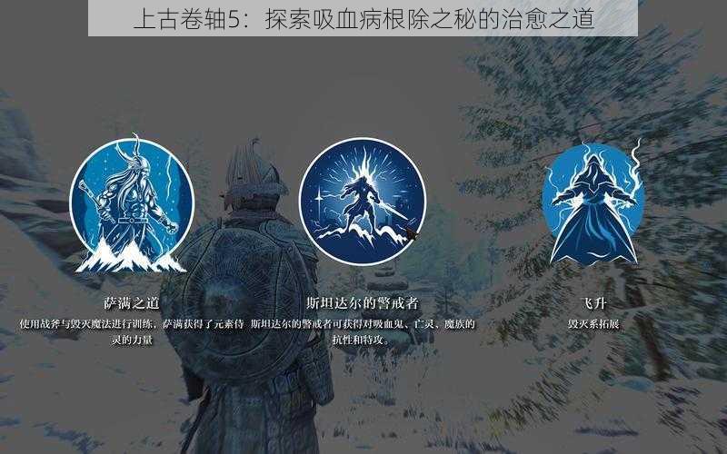 上古卷轴5：探索吸血病根除之秘的治愈之道