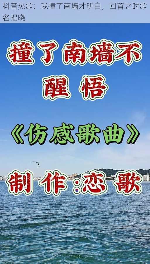 抖音热歌：我撞了南墙才明白，回首之时歌名揭晓