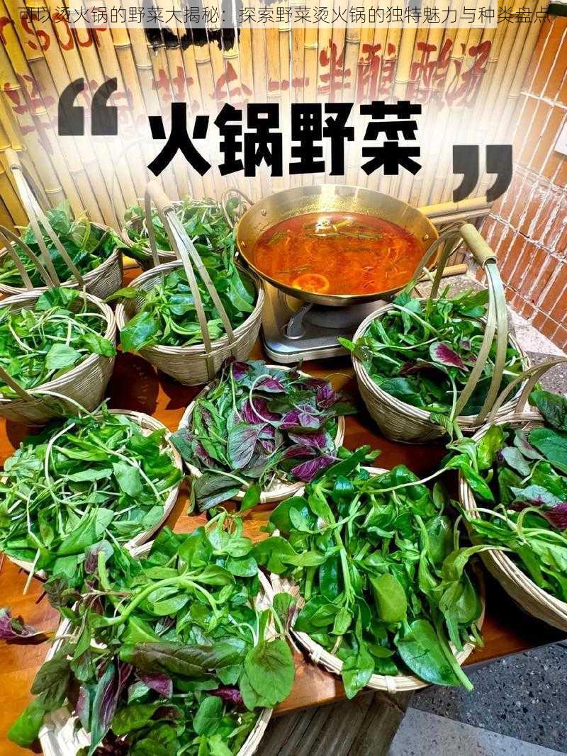 可以烫火锅的野菜大揭秘：探索野菜烫火锅的独特魅力与种类盘点