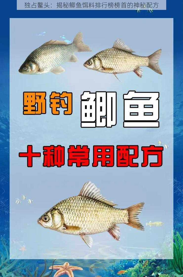 独占鳌头：揭秘鲫鱼饵料排行榜榜首的神秘配方