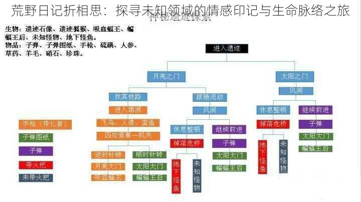 荒野日记折相思：探寻未知领域的情感印记与生命脉络之旅