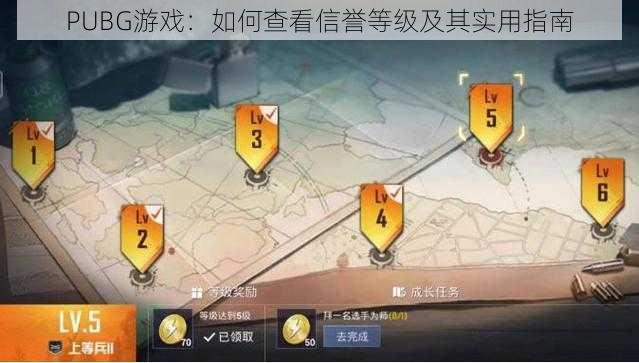 PUBG游戏：如何查看信誉等级及其实用指南