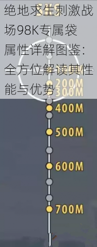 绝地求生刺激战场98K专属袋属性详解图鉴：全方位解读其性能与优势