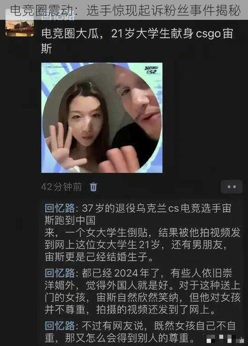 电竞圈震动：选手惊现起诉粉丝事件揭秘