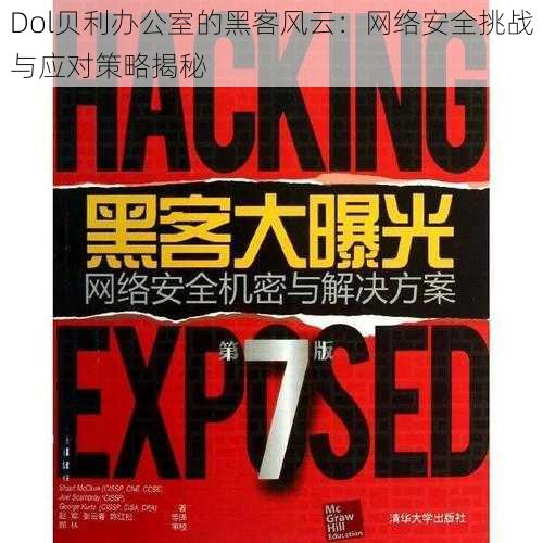 Dol贝利办公室的黑客风云：网络安全挑战与应对策略揭秘