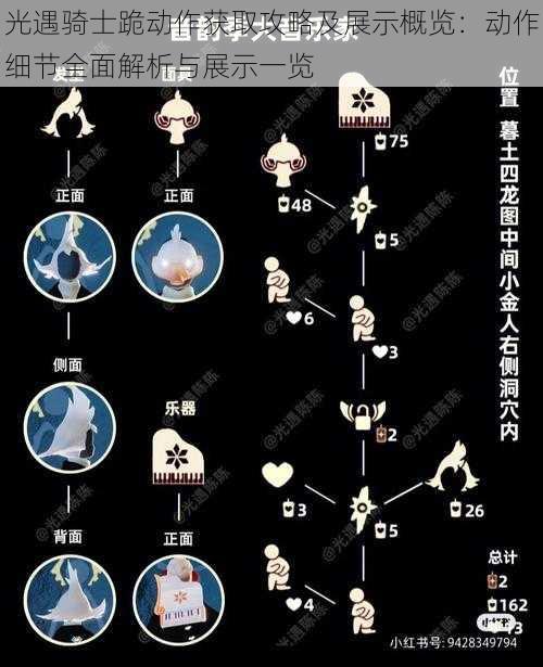 光遇骑士跪动作获取攻略及展示概览：动作细节全面解析与展示一览