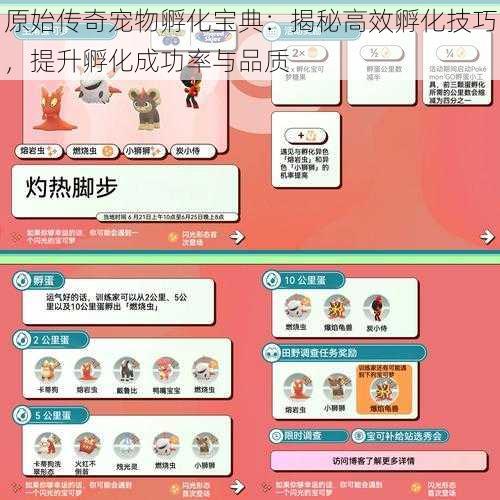 原始传奇宠物孵化宝典：揭秘高效孵化技巧，提升孵化成功率与品质