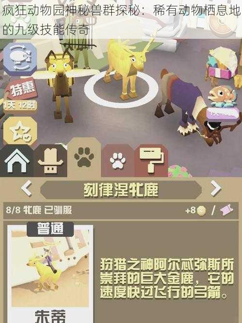 疯狂动物园神秘兽群探秘：稀有动物栖息地的九级技能传奇