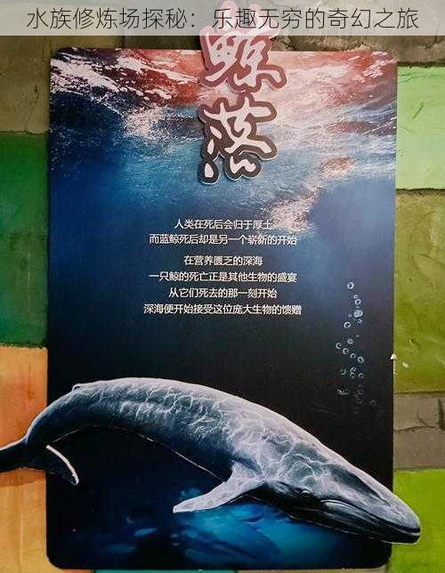 水族修炼场探秘：乐趣无穷的奇幻之旅