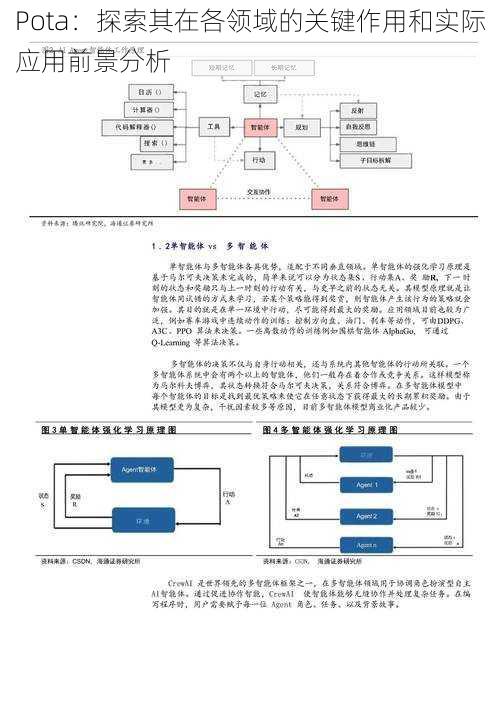 Pota：探索其在各领域的关键作用和实际应用前景分析