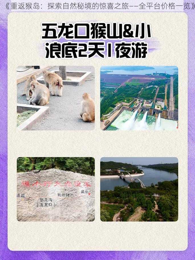 《重返猴岛：探索自然秘境的惊喜之旅——全平台价格一览》